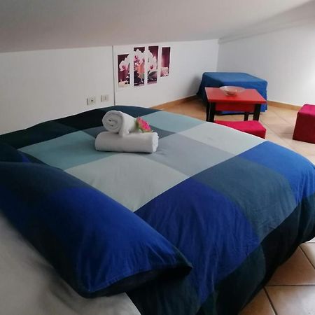 Casa Del Loto Apartment Fiumicino Luaran gambar